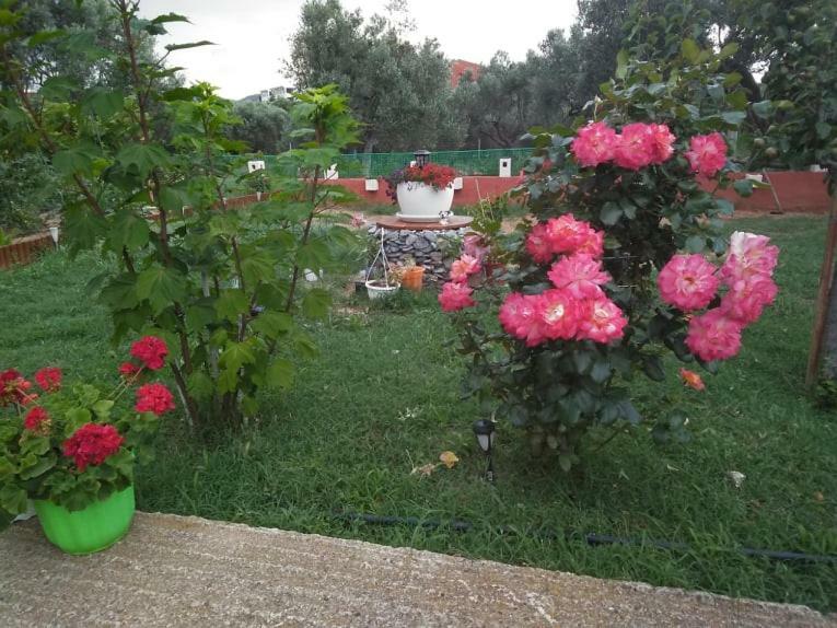 Dora'S Garden Villa Alexandrupoli Exteriér fotografie