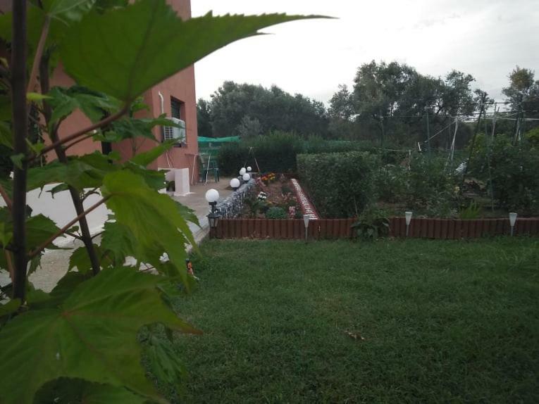 Dora'S Garden Villa Alexandrupoli Exteriér fotografie